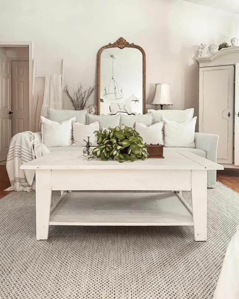 Light and Airy Small Living Room Ideas