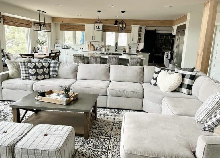 Living Room To Entertain Guests