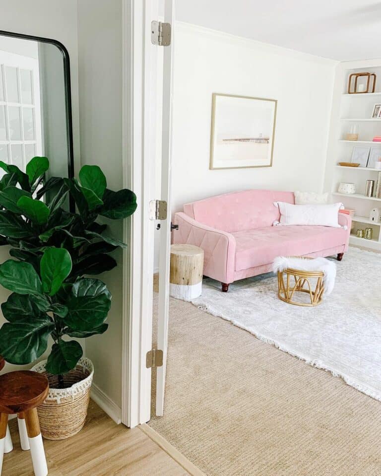 Living Room With Pink Sofa