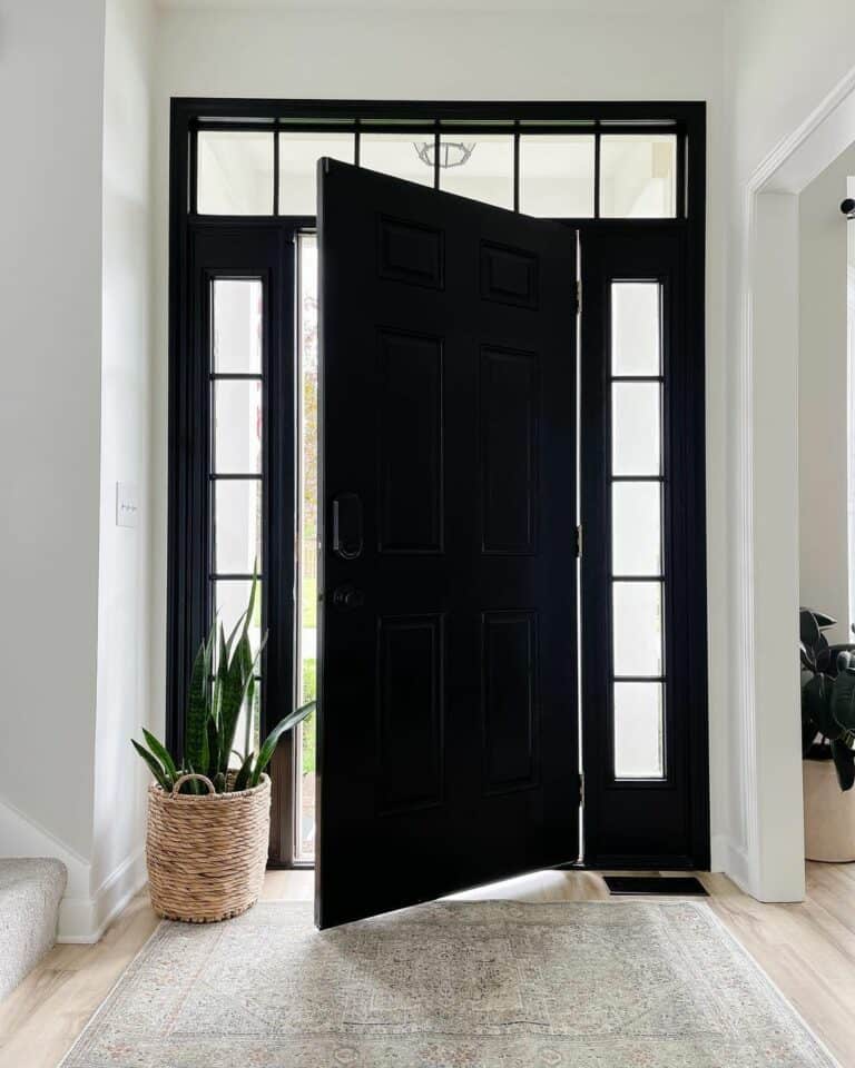 Modern Black Transom Door