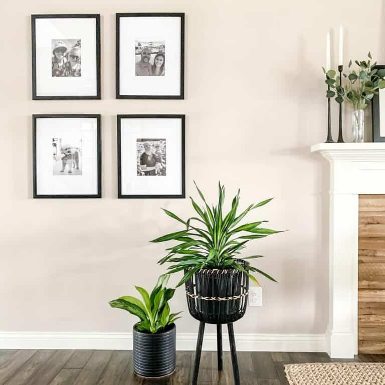 Modern Black and White Wall Décor