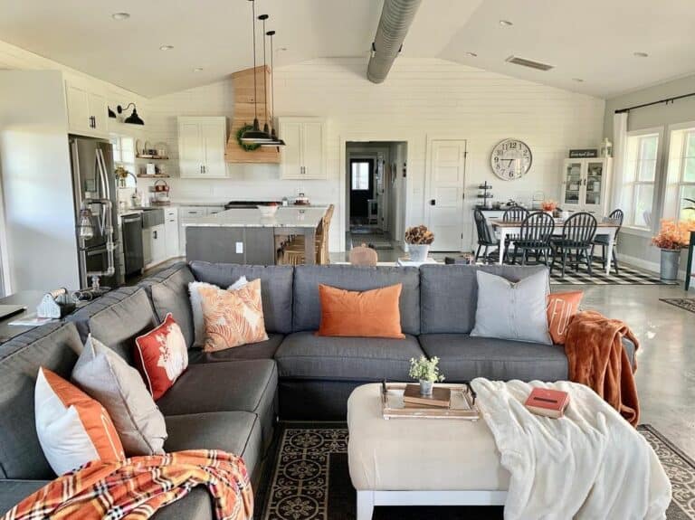 13 Outstanding Orange Living Room Ideas
