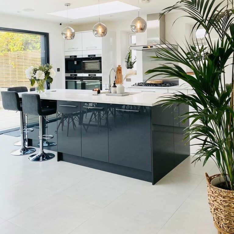 Modern Kitchen With Black Cabinets