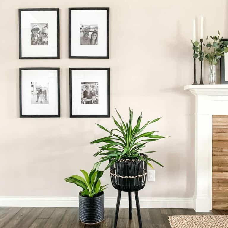 Modern Living Room Décor