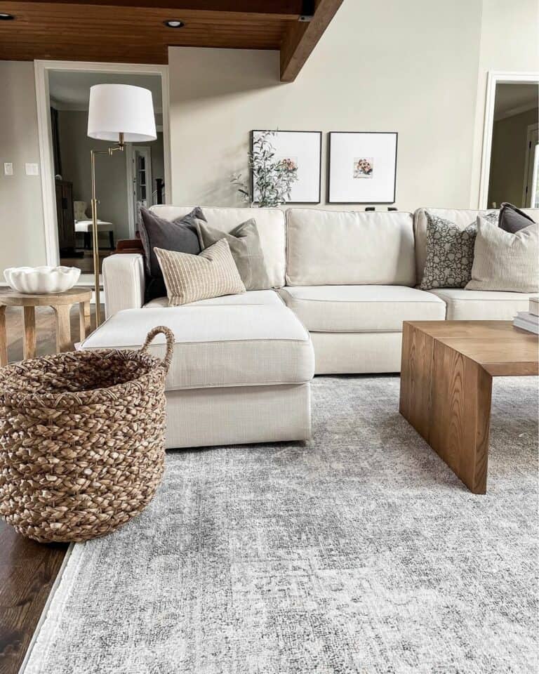Modern Living Room Furnishing Inspiration