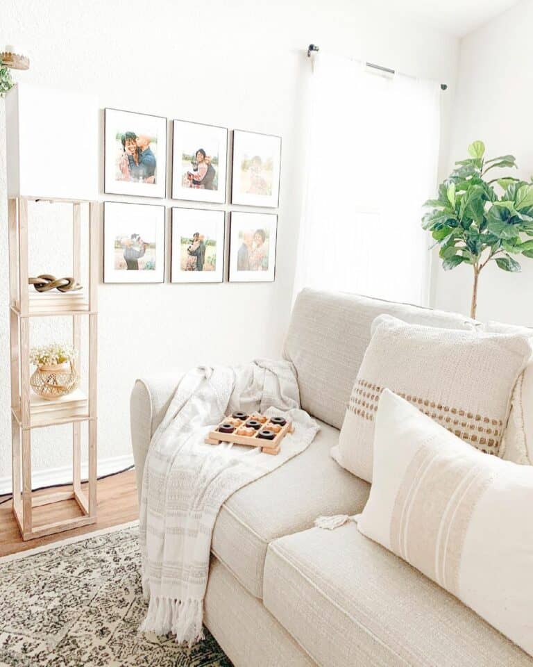 Modern Living Room With White Color Scheme