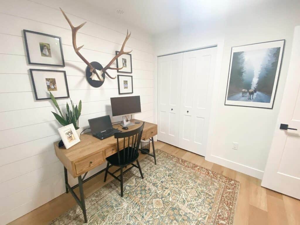 Mounted Elk Antlers in Home Office