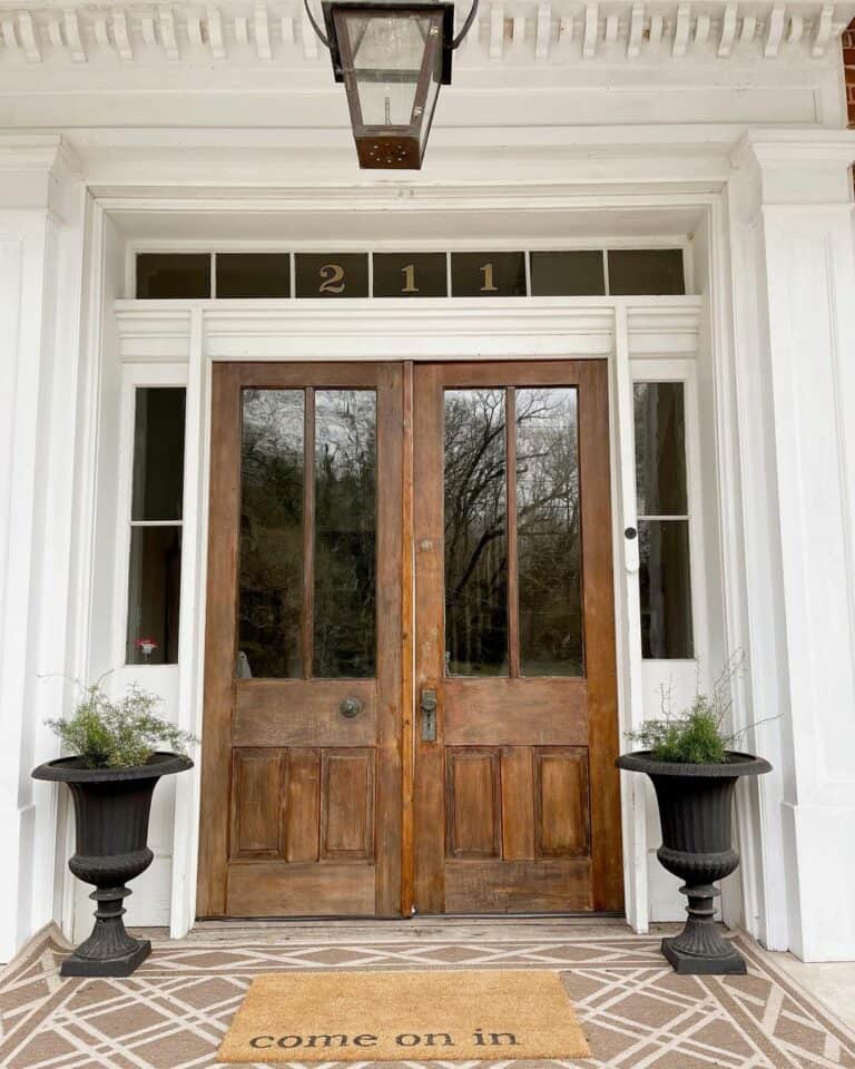 Natural Wood Double Front Door With Window Panels