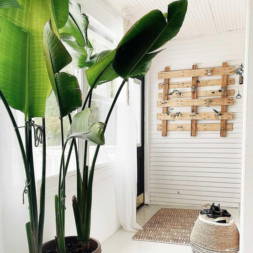Nature-inspired Mudroom Entryway With Greenery