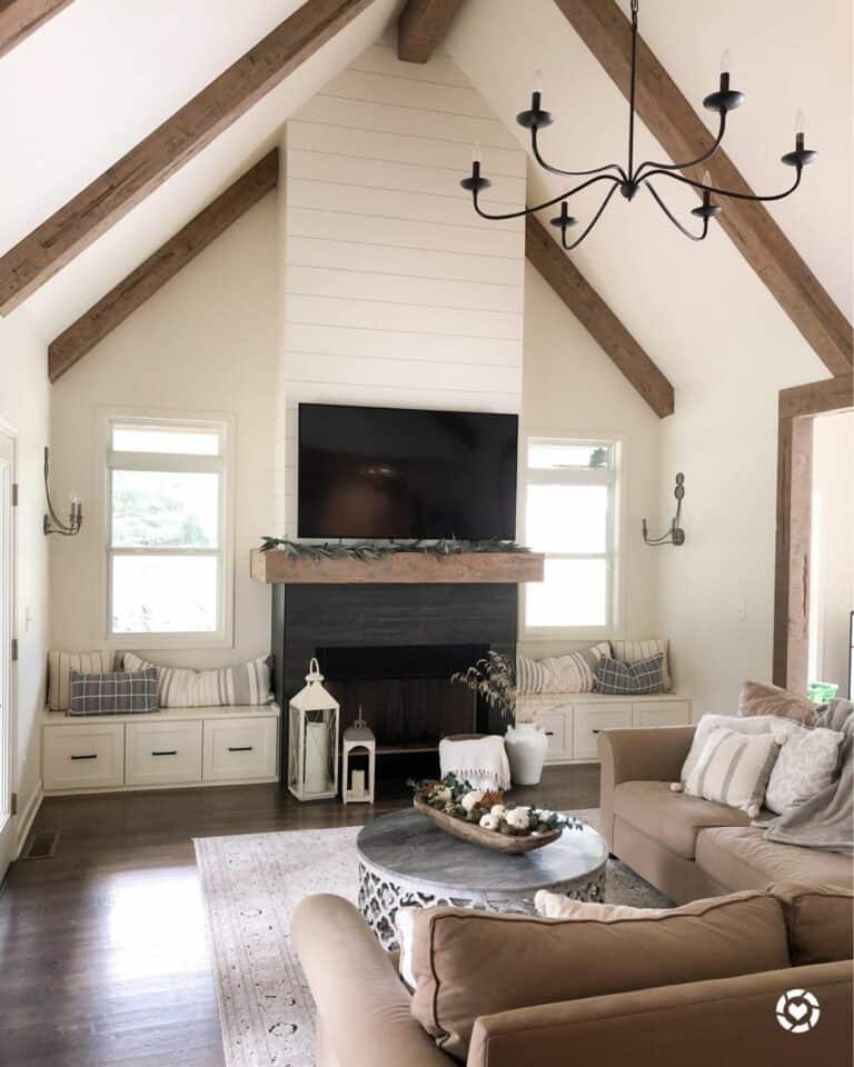 Neutral Traditional Living Room Ideas