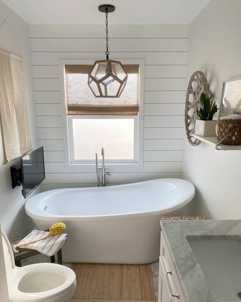 Oval Free Standing Tub and Television