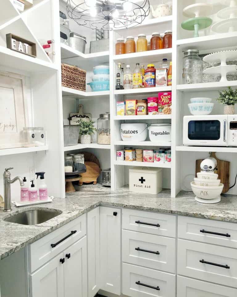 Pantry Storage Ideas With a Sink