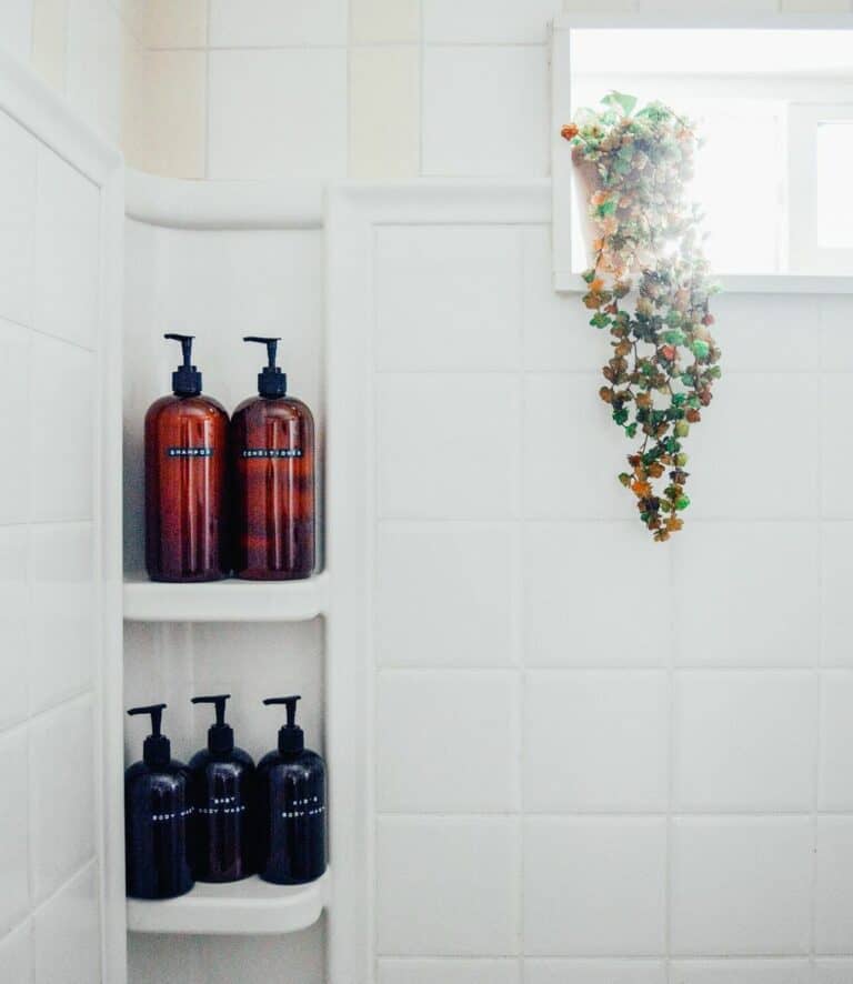 Potted Plant in Shower Window