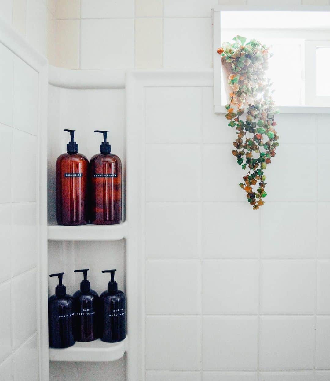 Potted Plant in Shower Window Soul & Lane