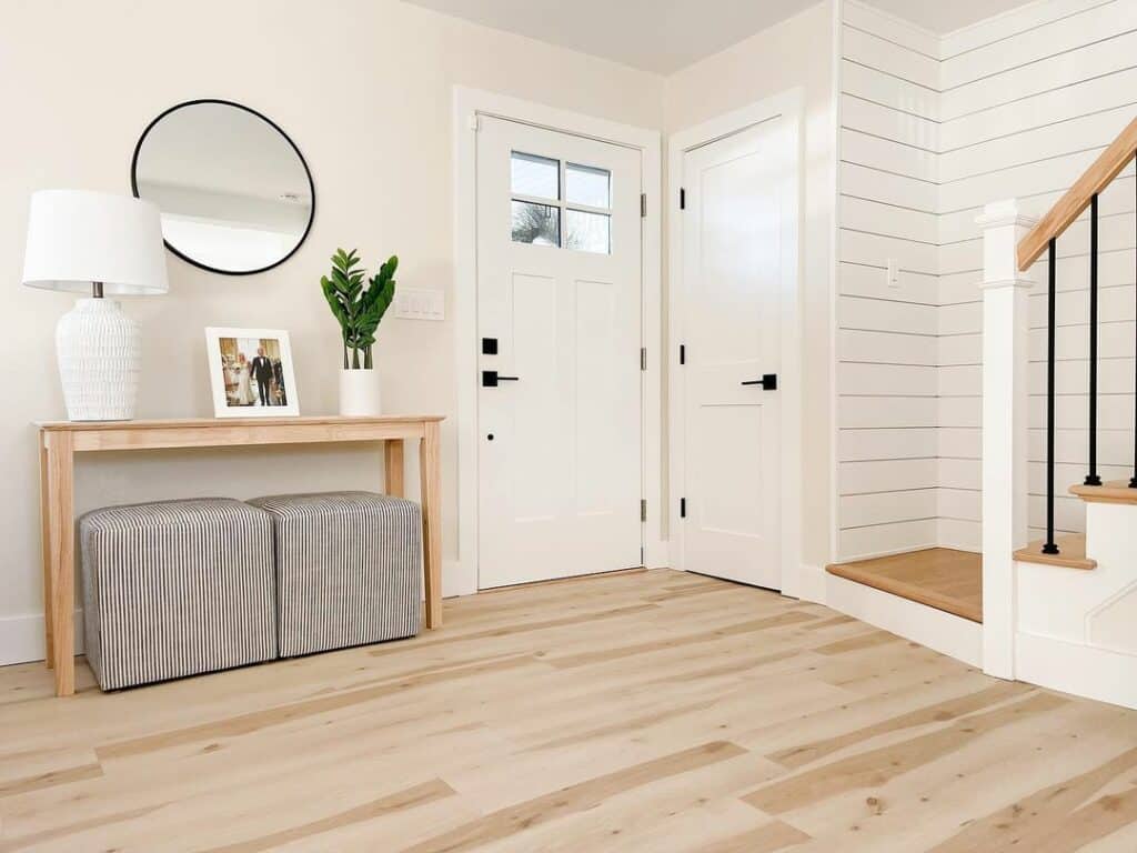 Shiplap Staircase Wall and Paneled Doors