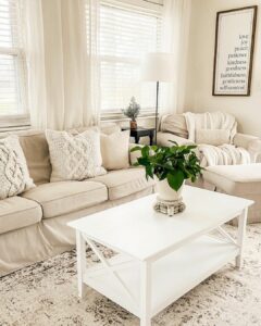 Simple White Living Room Ideas
