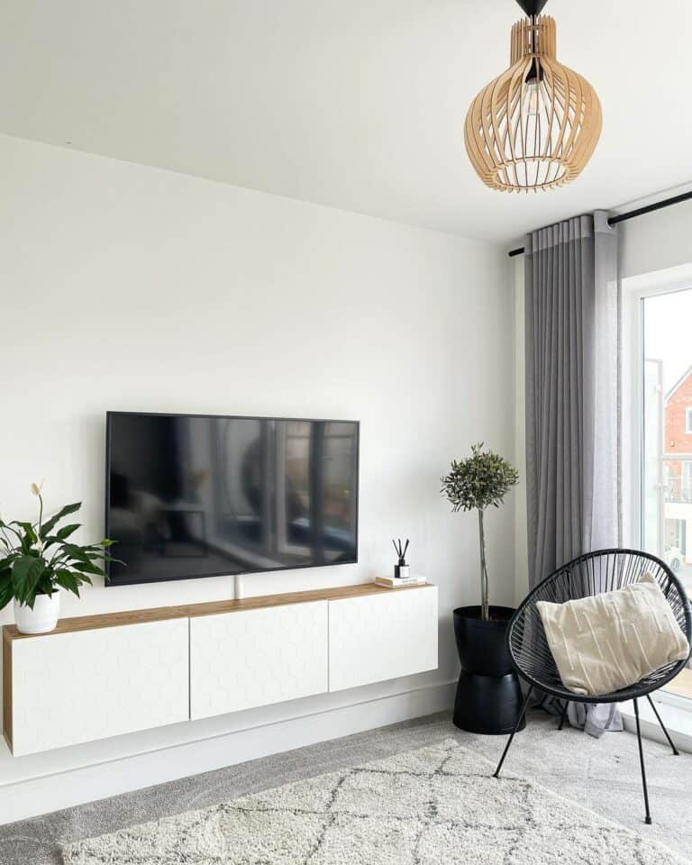 Sleek Black and White Living Room