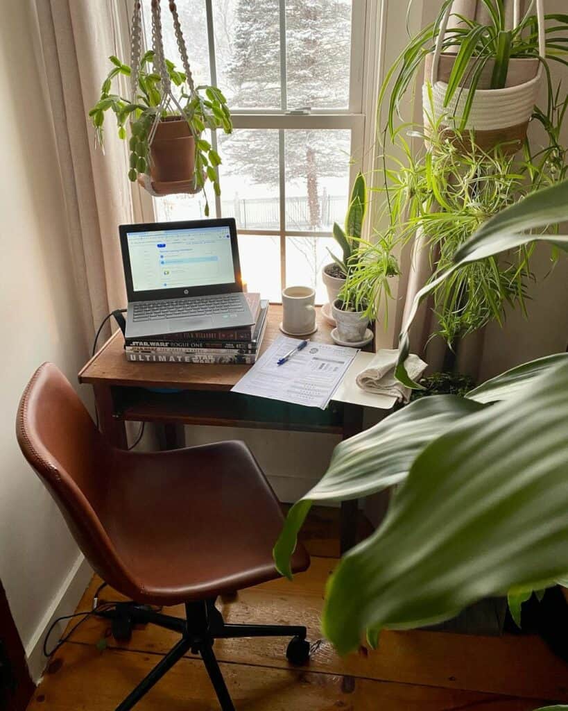 Small Office With Vibrant Plant Décor
