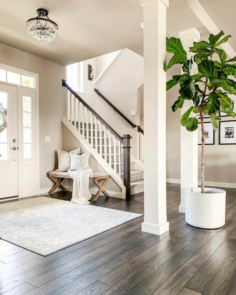 Tall Tree in Neutral Foyer