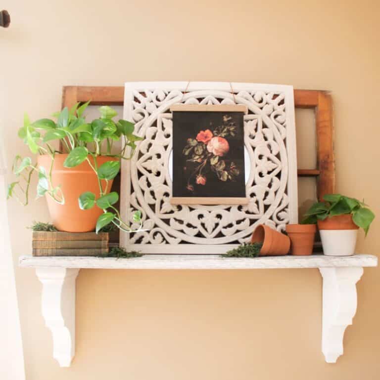 Terracotta Plant Pots on Farmhouse Shelf