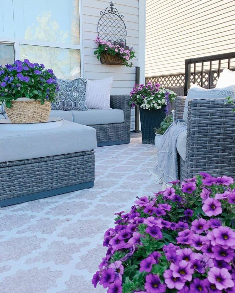 Tiny Patio With Purple Flowers