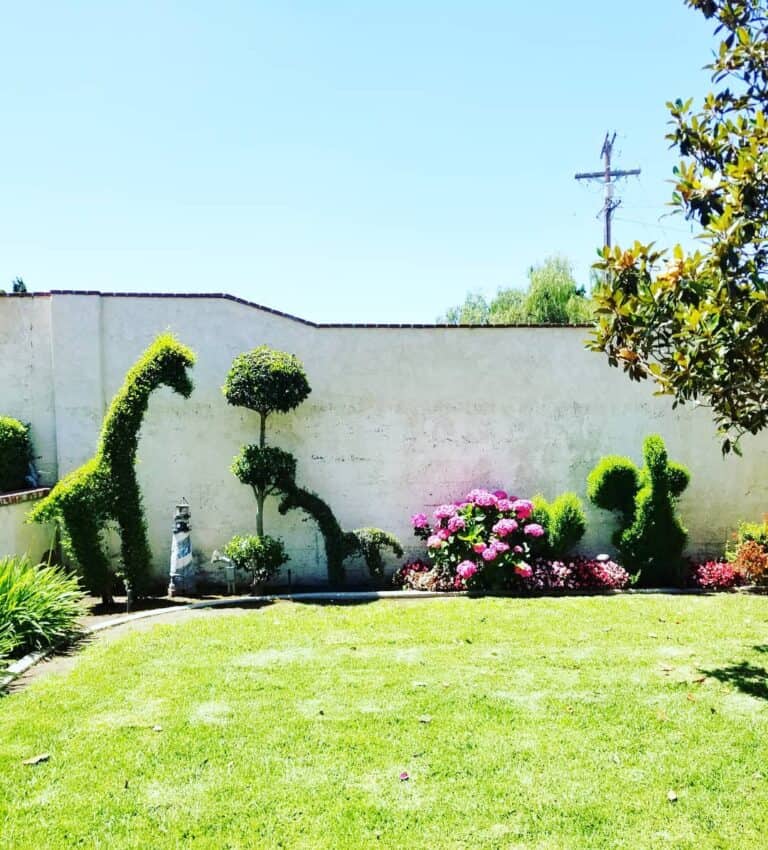 Topiary Trees Trimmed Into Unique Shapes