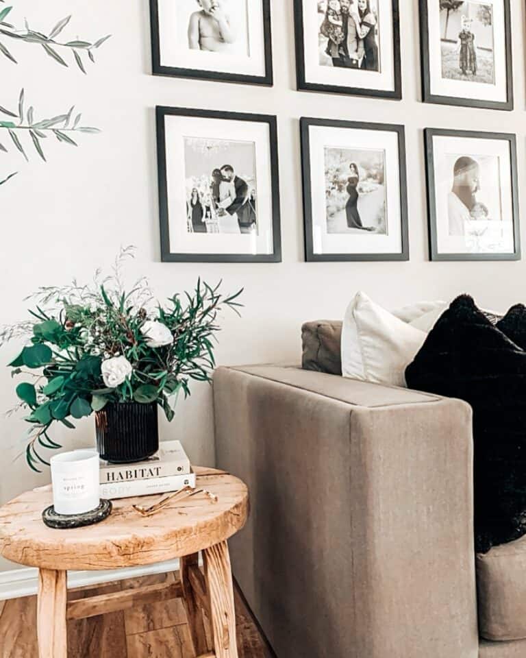 Transitional Décor for Neutral Living Room