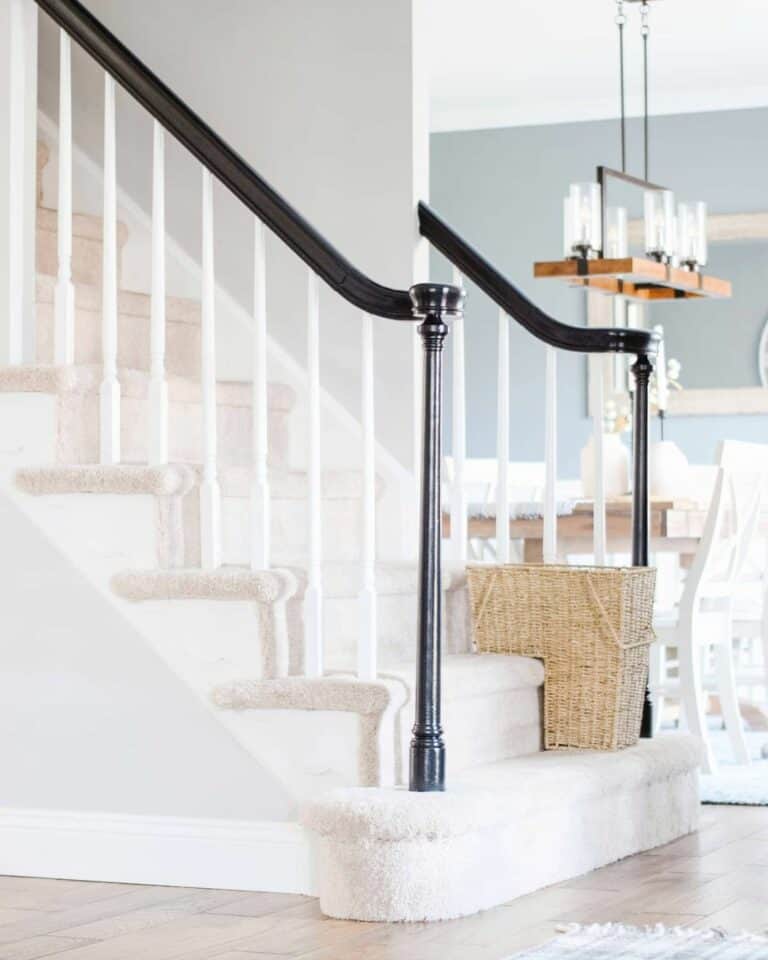 Tricorn Black Paint by Sherwin Williams for Stairway Updates