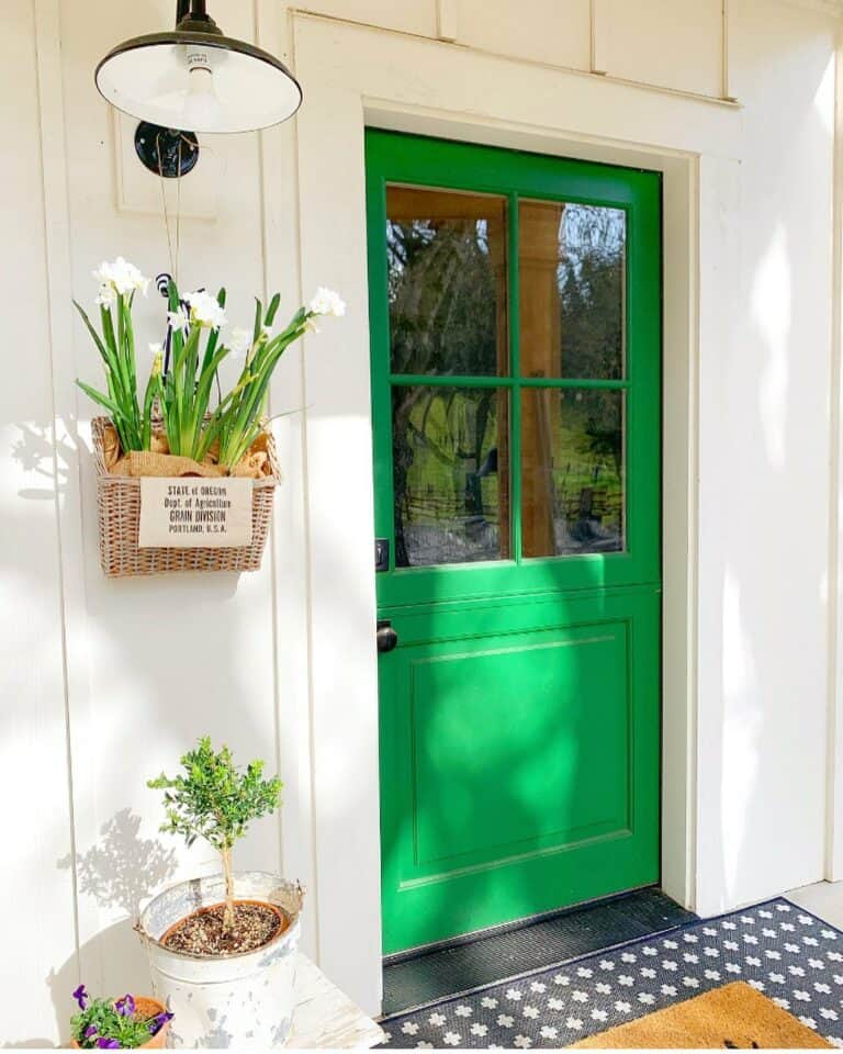 Vibrant Springtime Green