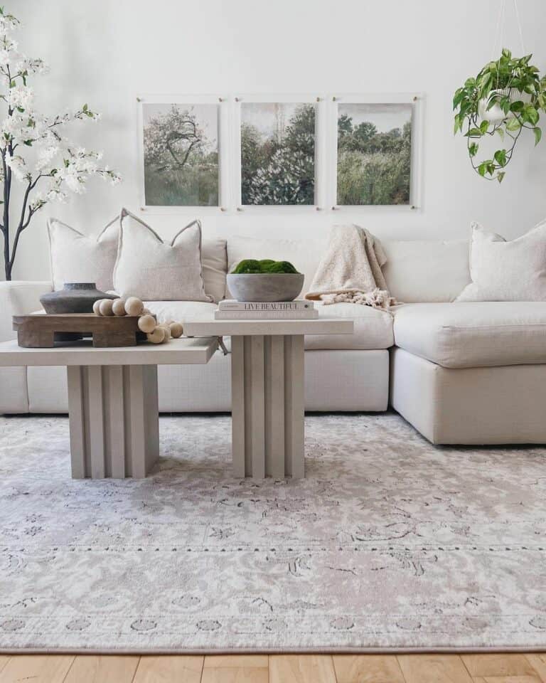White Contemporary Living Room Ideas