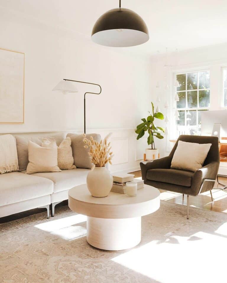 White and Minimalistic Modern Living Room