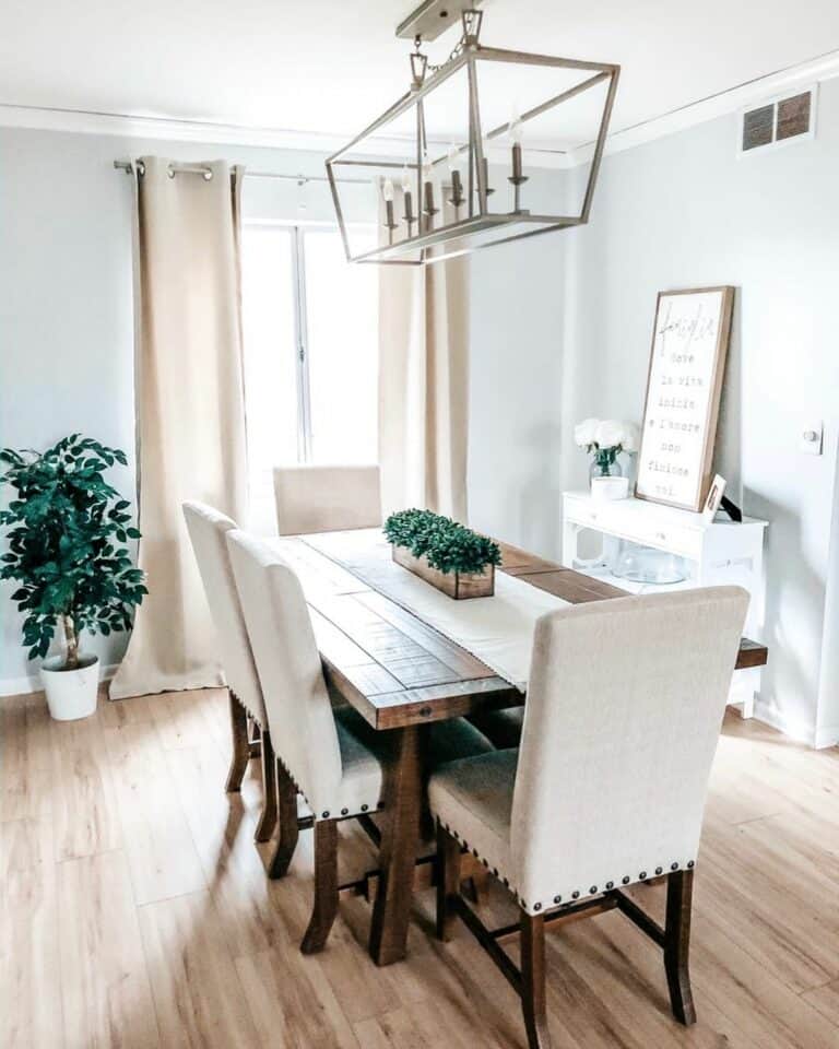 Airy Dining Room With Potted Plants