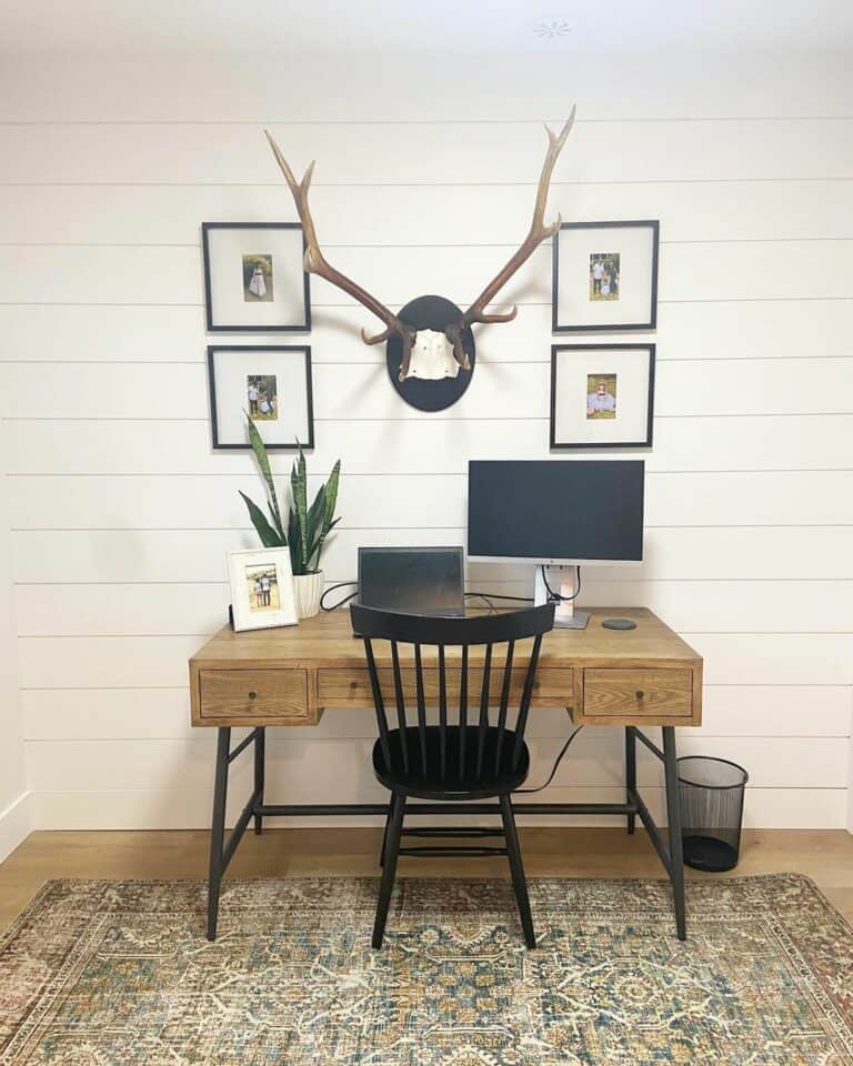 Antlers Above Wooden Office Desk