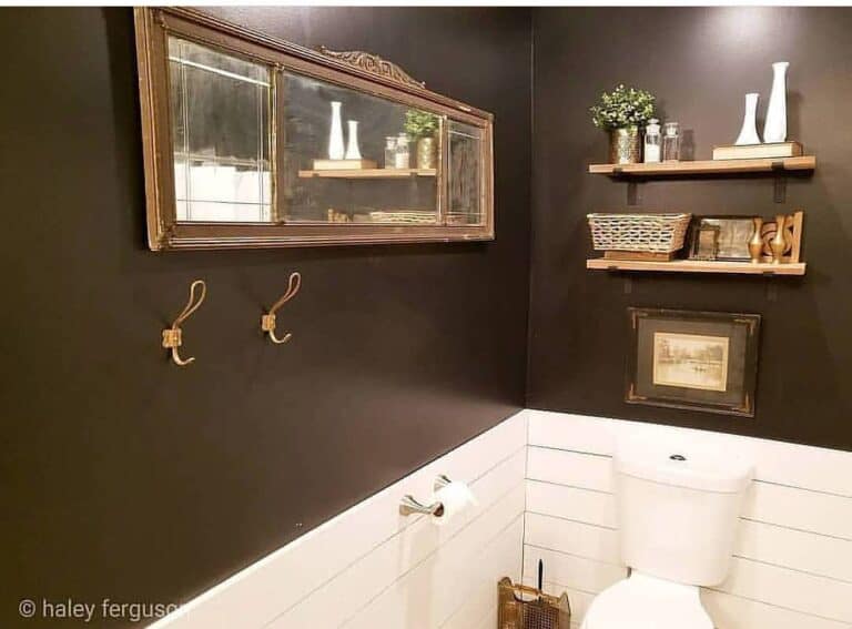 Bathroom With a Striking Black-and-White Shiplap Wall