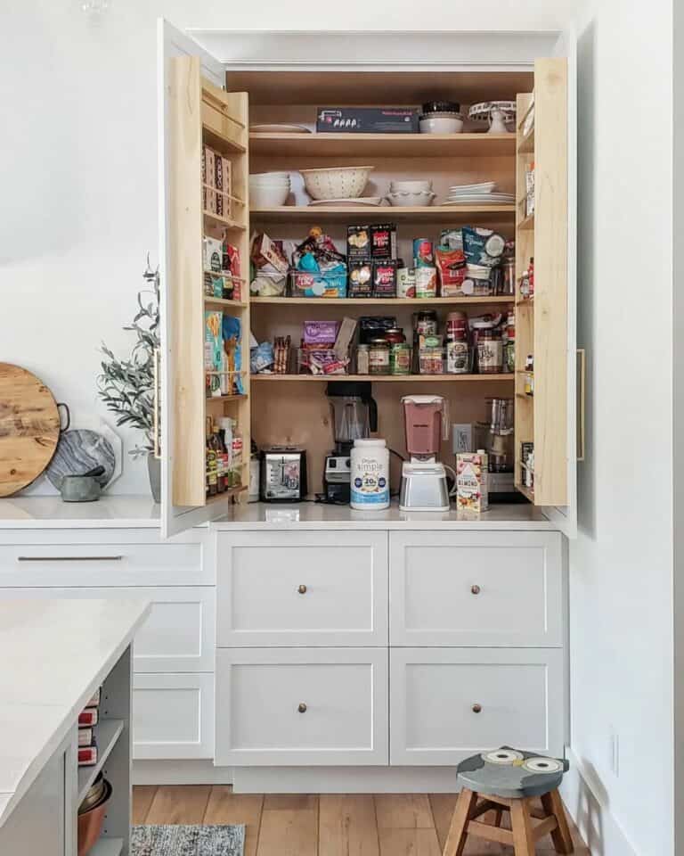 Cabinet and Shelving Space Organization