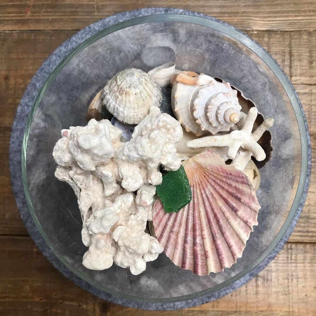 14 Seashell D Cor Ideas To Lull You To Your Coastal Dream Farmhouse Living Room With Seashell Decor