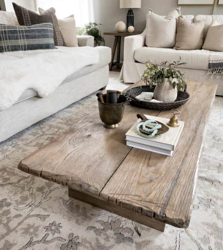 Greige Living Room Sofas With Earth-toned Pillows