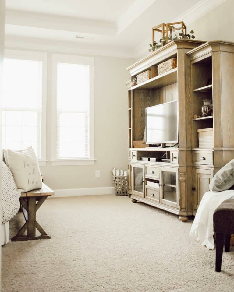 Minimalistic Living Room With Soft Beige Carpet