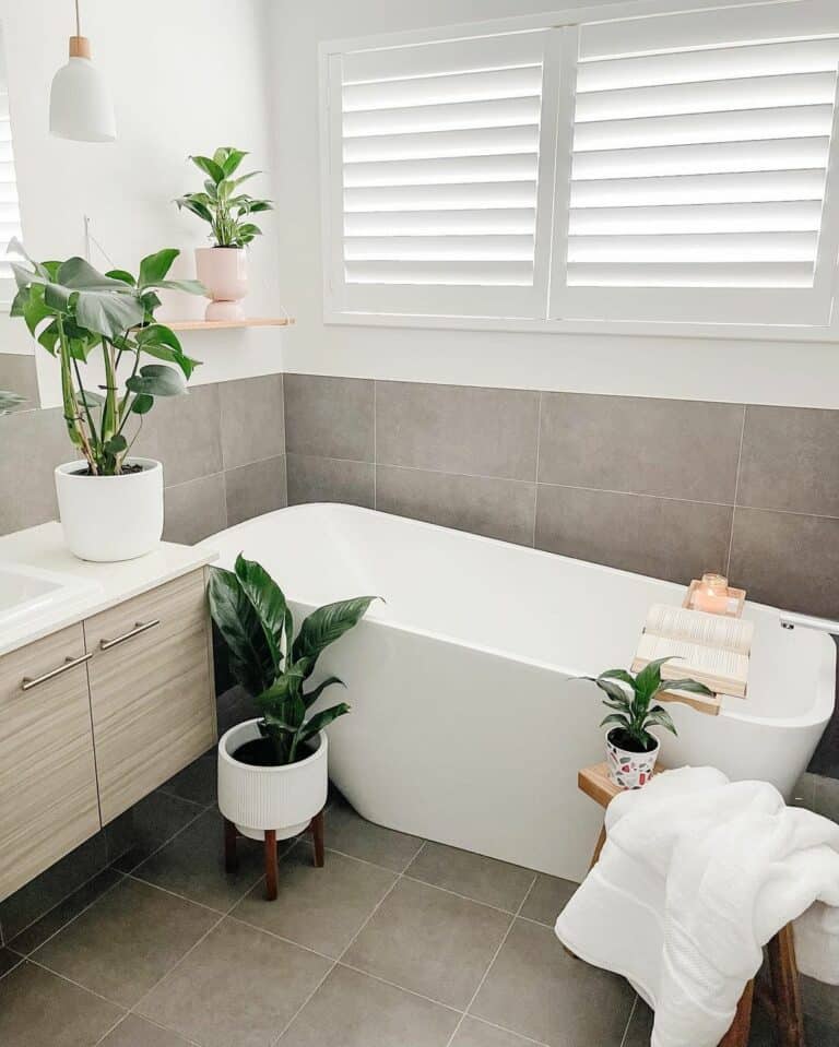 Modern Bathroom With Plant Décor