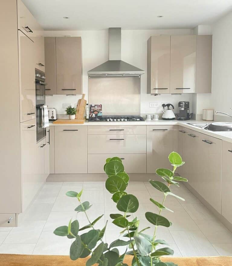 Modern Cream Kitchen Cabinets With Marble Countertop