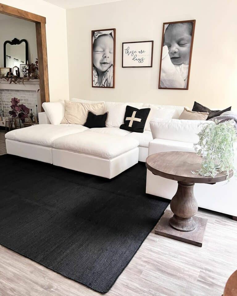 Modern Farmhouse Living Room With a Black and White Palette