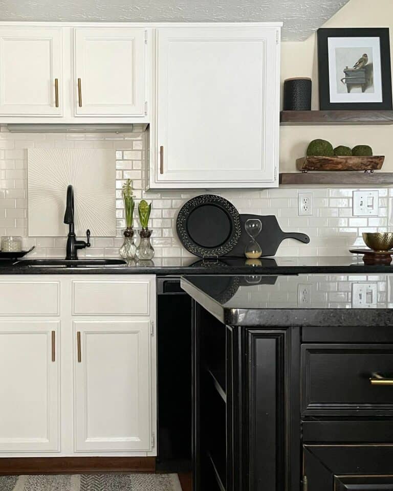 Monochrome Kitchen With Black Quartz Countertop