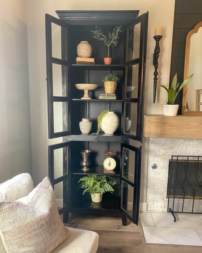 Open Black Display Cabinet FIlled With Plants