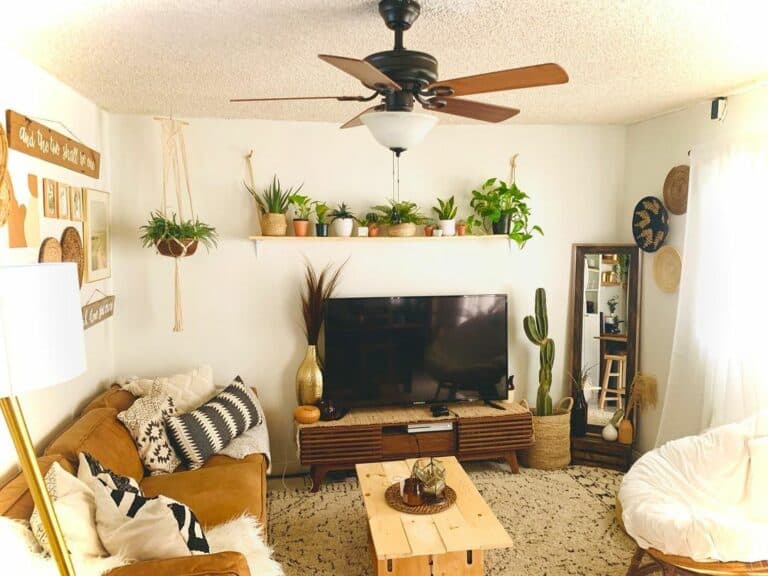 Rope Shelf Ideas to Display Plants
