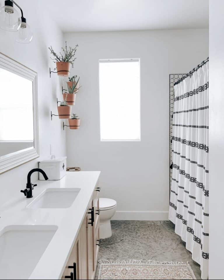 Simple Bathroom With Greenery in Terracotta Planters