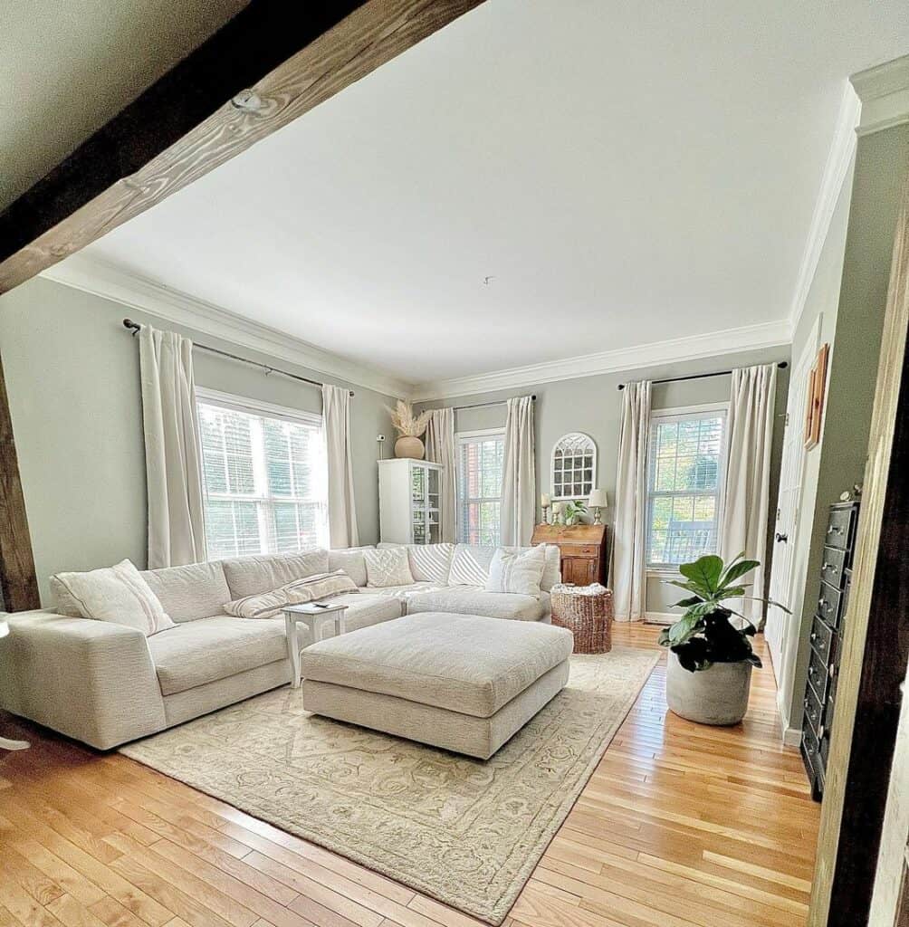 Simple Elegant Minimalist Aesthetics