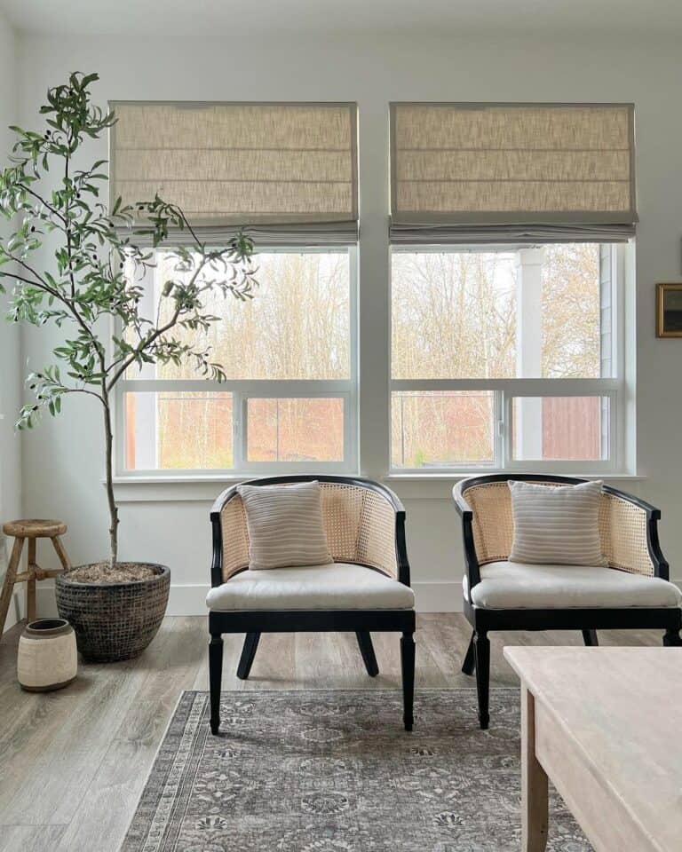 Simple Living Room With Black Cane Chairs