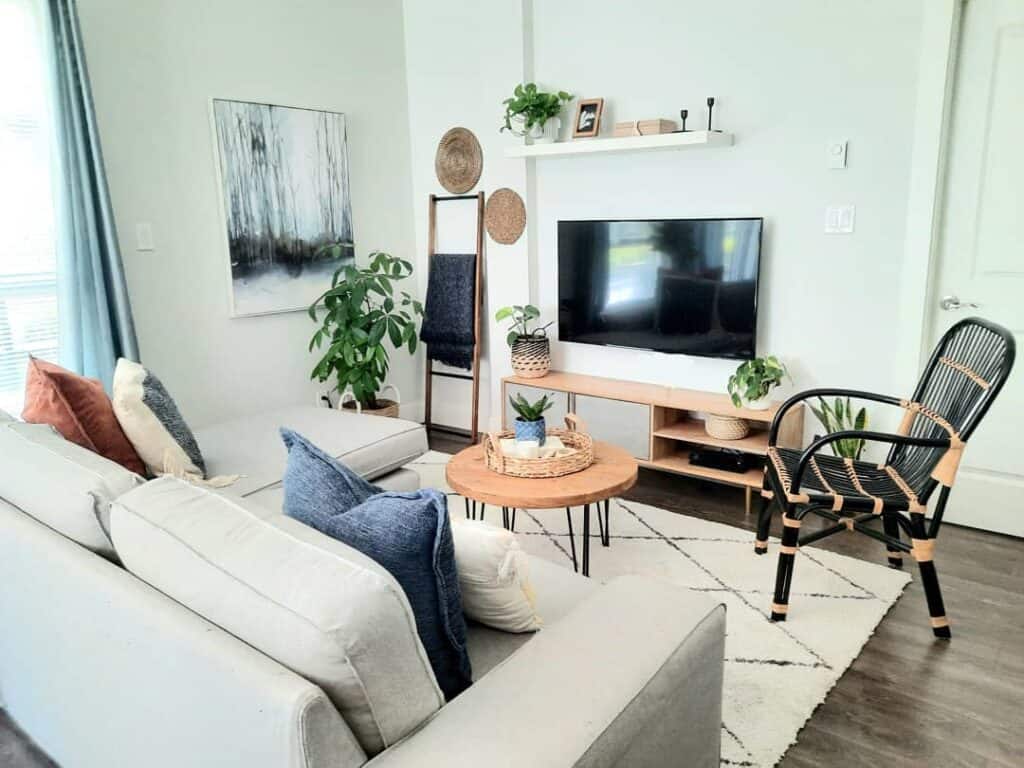 Sleek Farmhouse-style Living Room