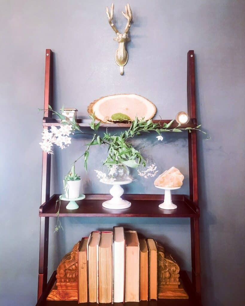 Stained Wood Shelf Leans Against Gray Wall