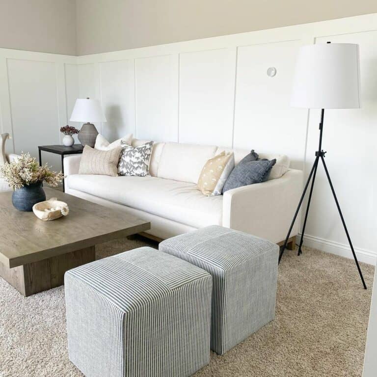 Traditional Sitting Room With Modern Furniture